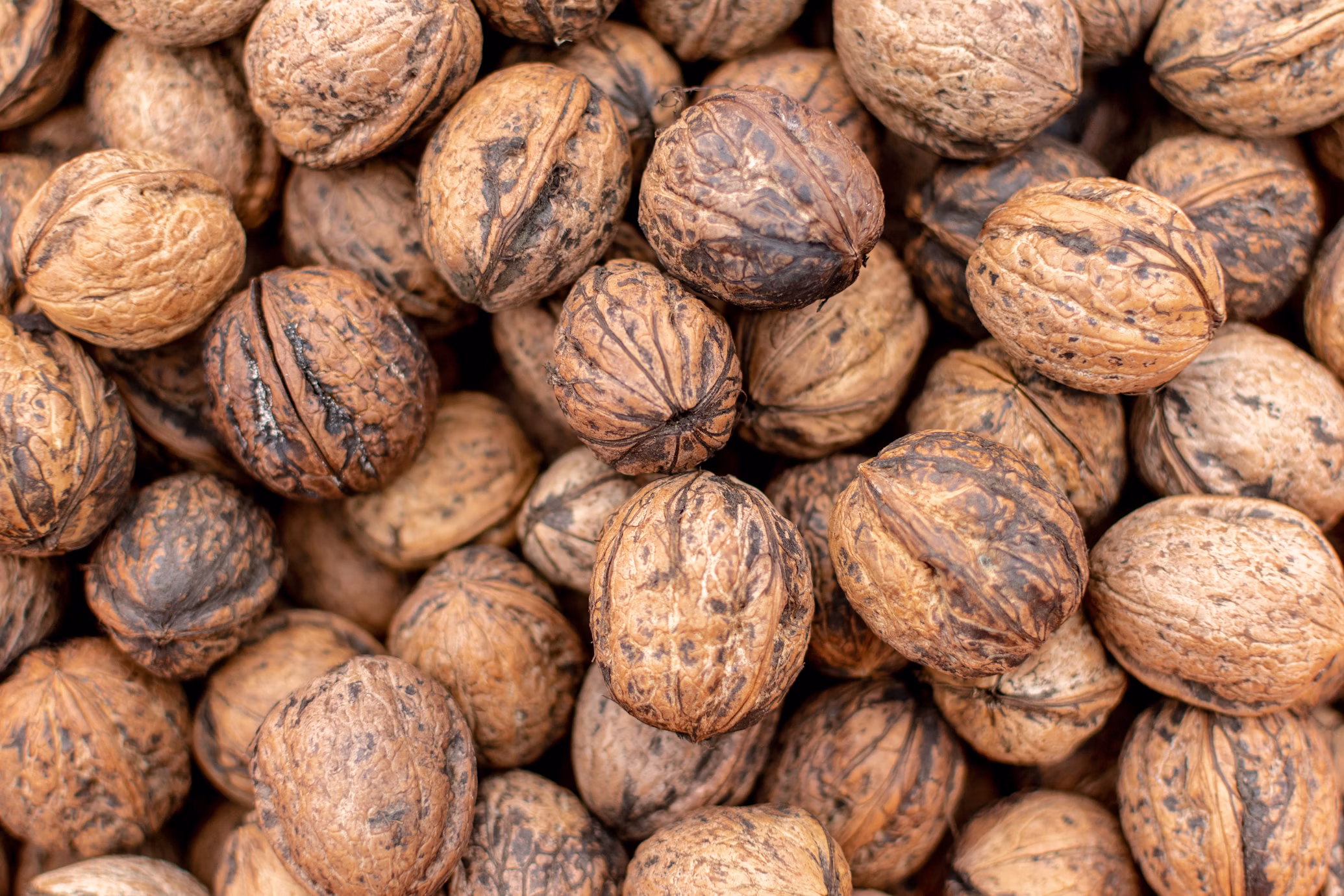 What are the side effects of walnuts? Cancer-Causing Properties & Tips for Storing Walnuts