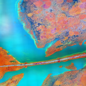 What are the names of the three major types of harmful algal blooms (habs) that occur in florida?