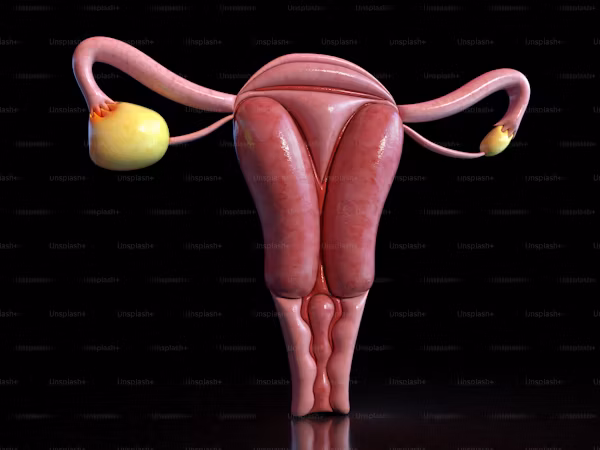 How I knew I had uterine cancer? Risk Factors, Symptoms & Diagnosing