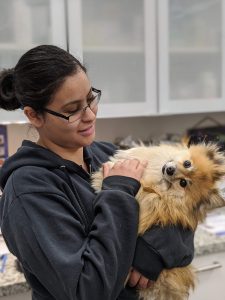 ветеринарная клиника Vetcitypets